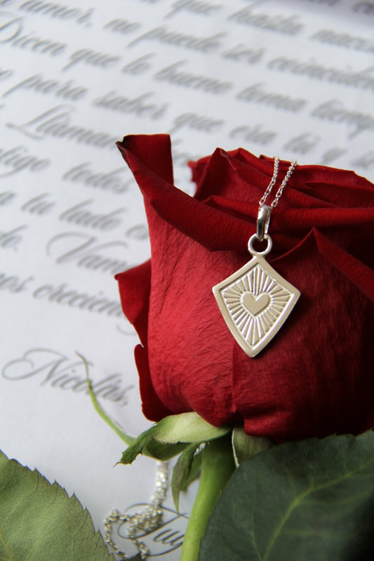 ♡ Escudo Protector ♡ - Pura Dicha - amuletos