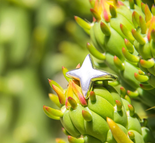 ⊹ Star seed ⊹ - Pura Dicha - amuletos